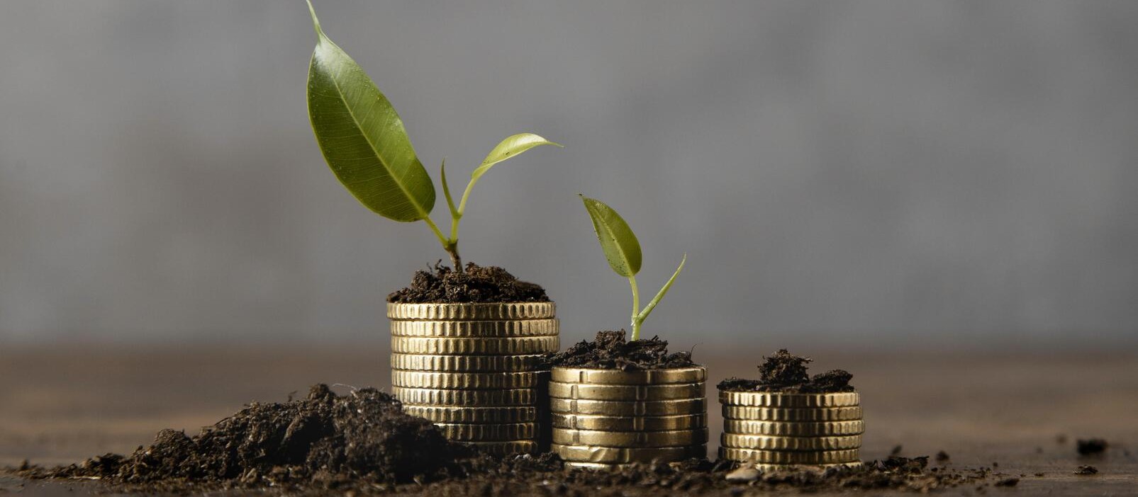 Redhorn Ventures Limited